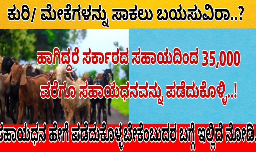 ಕುರಿ ಹಾಗೂ ಮೇಕೆ ಸಾಕಾಣಿಕೆ ಮಾಡಲು ಬಯಸುವಿರಾ ಹಾಗಿದ್ದರೆ ಸರ್ಕಾರದಿಂದ 35,000 ವರೆಗೂ ಸಹಾಯಧನವನ್ನು ಪಡೆದುಕೊಳ್ಳಿ ಹೇಗೆ ಪಡೆದುಕೊಳ್ಳಬೇಕೆಂಬುದರ ಬಗ್ಗೆ ಮಾಹಿತಿ ಇಲ್ಲಿದೆ ನೋಡಿ