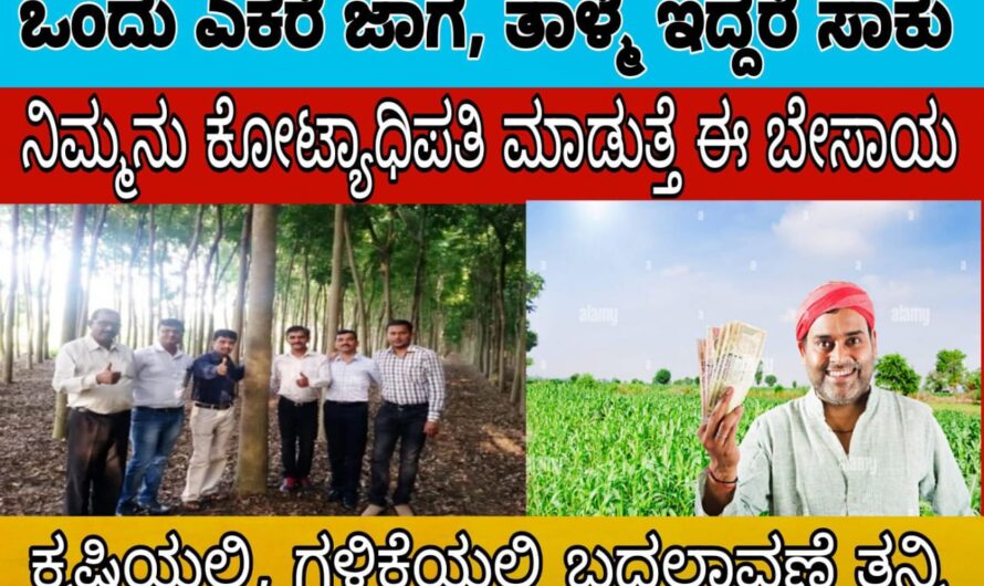 ರೈತರೇ ತಾಳ್ಮೆ ತೆಗೆದುಕೊಂಡು ಈ ಕೃಷಿ ಮಾಡಿ ನೀವೂ ಆಗುವಿರಿ ಕೋಟ್ಯಾಧಿಪತಿ. ಒಂದು ಎಕರೆ ಜಾಗ ಸಾಕು, ನಿರಾವರಿ ಬೇಕಿಲ್ಲ, ನಿರ್ವಹಣೆ ಕಡಿಮೆ