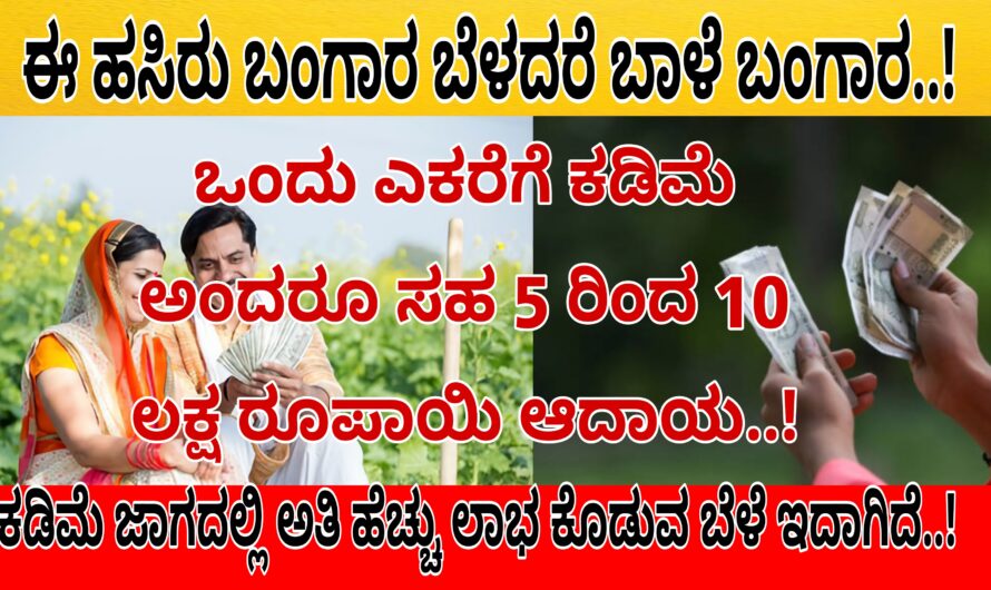 ಈ ಹಸಿರು ಬಂಗಾರ ಬೆಳೆದರೆ ಬಾಳೇ ಬಂಗಾರ..! ಒಂದು ಎಕರೆಗೆ ಕಡಿಮೆ ಎಂದರು ಸಹ 5 ರಿಂದ 10 ಲಕ್ಷ ರೂಪಾಯಿ ಆದಾಯ ಕೊಡುವ ಬೆಳೆ ಇದಾಗಿದೆ..! ಯಾವ ಬೆಳೆ ಹೇಗೆ ಬೆಳೆಯಬೇಕು ಇಲ್ಲಿದೆ ನೋಡಿ ಸಂಪೂರ್ಣ ಮಾಹಿತಿ….