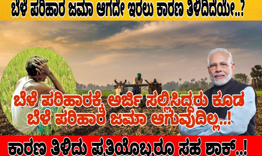 ಬೆಳೆ ವಿಮೆಗೆ ಸರಿಯಾದ ಕ್ರಮದಲ್ಲಿ ಅರ್ಜಿ ಸಲ್ಲಿಸಿದ್ದರು ಕೂಡ  ಹಲವು ರೈತರಿಗೆ ಬೆಳೆ ವಿಮೆ ಜಮಾ ಆಗುವುದಿಲ್ಲ..! ಕಾರಣ ತಿಳಿದರೆ ಪ್ರತಿಯೊಬ್ಬರು ಶಾಕ್..! ಇಲ್ಲಿದೆ ನೋಡಿ ಪೂರ್ತಿ ವಿವರಣೆ..