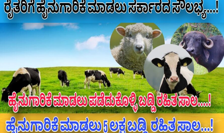 ಕೃಷಿ ಕೆಲಸಕ್ಕಾಗಿ ಬಡ್ಡಿ ರಹಿತ ಸಾಲ…! 5 ಲಕ್ಷದವರೆಗೂ ಬಡ್ಡಿ ರಹಿತ ಸಾಲ ಪಡೆದುಕೊಳ್ಳಲು ಸುವರ್ಣ ಅವಕಾಶ..! ರೈತರು ಈ ಯೋಜನೆಯ ಲಾಭವನ್ನು ಪಡೆದುಕೊಳ್ಳಿ..! Click Here Now..!