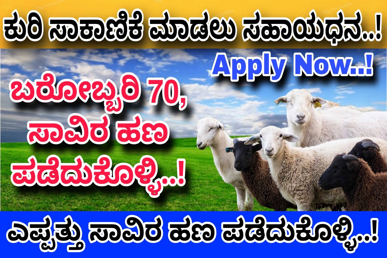 ಕುರಿ ಸಾಕಾಣಿಕೆ ಮಾಡಲು ರೈತರಿಗೆ ಸಿಗಲಿದೆ 70 ಸಾವಿರ ರೂಪಾಯಿ..! ರೈತರು ಈ ಕೂಡಲೇ ಅರ್ಜಿ ಸಲ್ಲಿಸಿ..! Apply Now..!